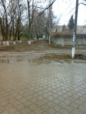 04022008434.jpg