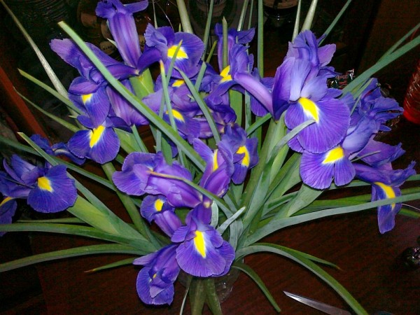 21032011346.jpg