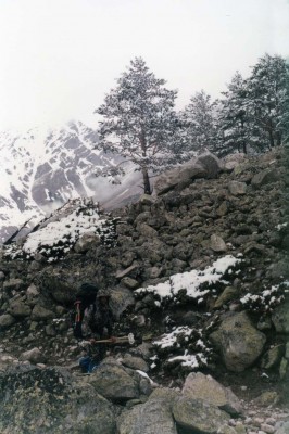 120.jpg