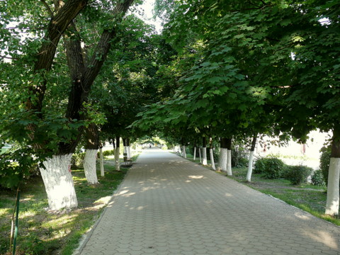 Платовский общ..JPG