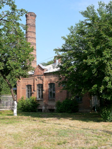 соб.кот. 3.JPG