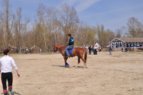 DSC_1026.JPG