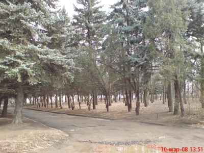 DSC00008.JPG