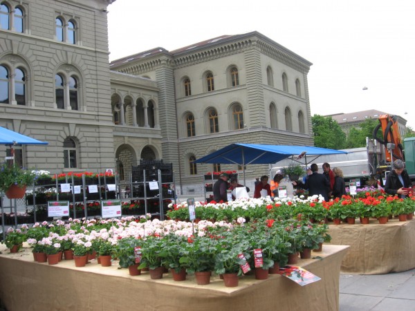 швейцария 1042.jpg