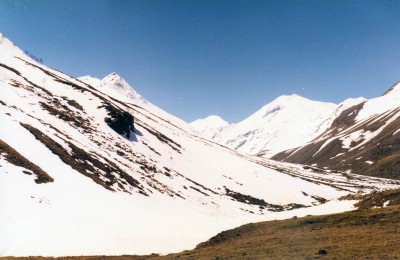 38.jpg