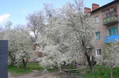 DSCN7229.JPG