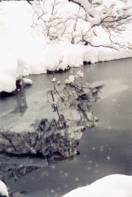57.jpg