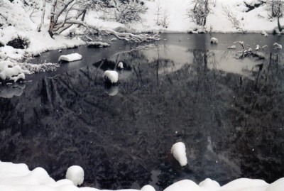 56.jpg