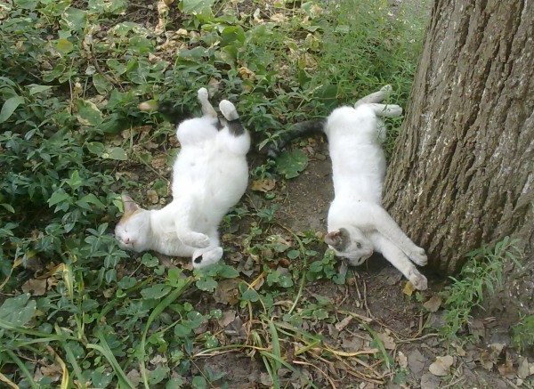 20072011549.jpg