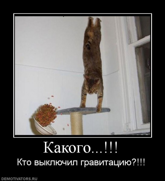 1247748542_679279_kakogo.jpg