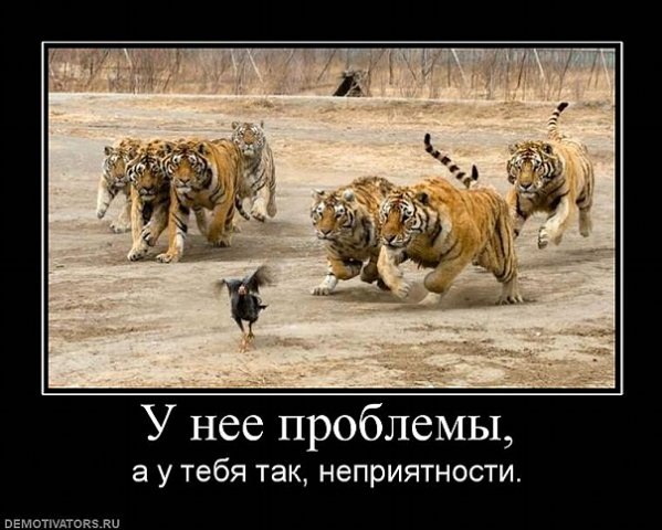 image020.jpg