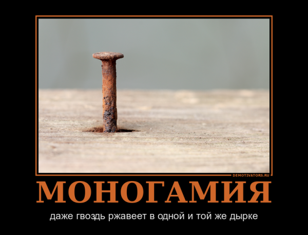 701463_monogamiya.png