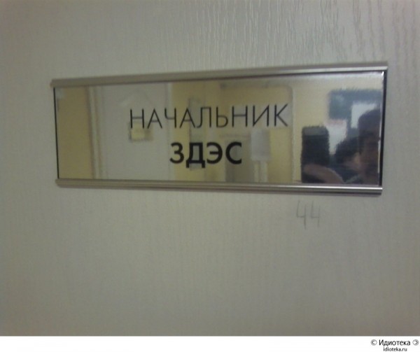 y_7f8463cb.jpg