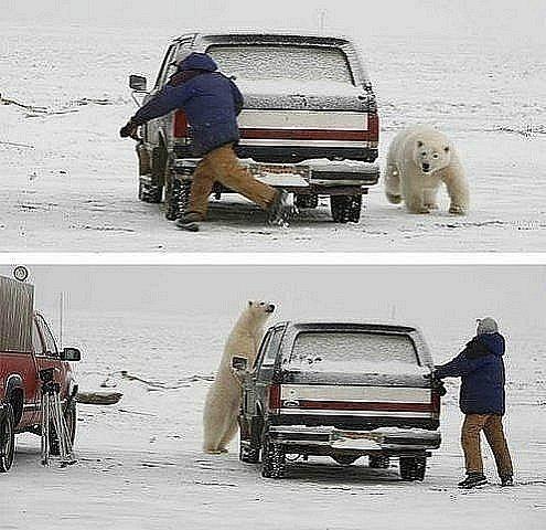 догонялки.jpg