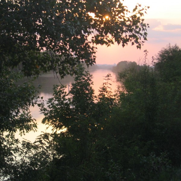 _IMG_3650_rs.jpg