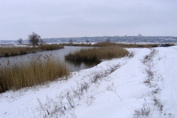 _IMG_4257_resize.jpg