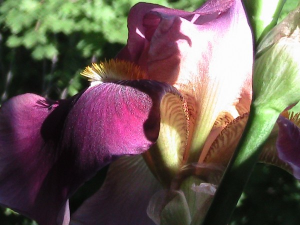 PIC_0974.JPG