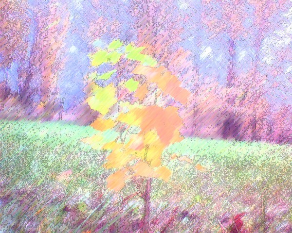 img045.jpg