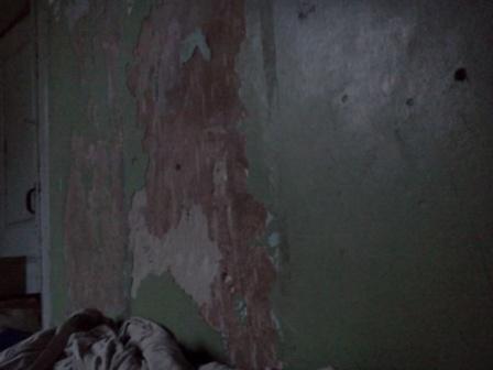 IMG20110909_003.jpg