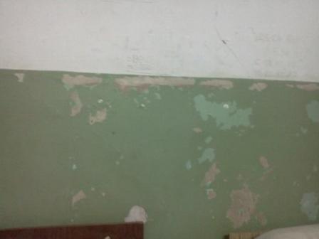 IMG20110909_002.jpg