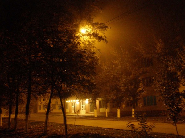 PA180664.JPG