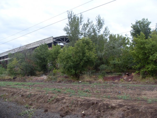 SDC11178.JPG