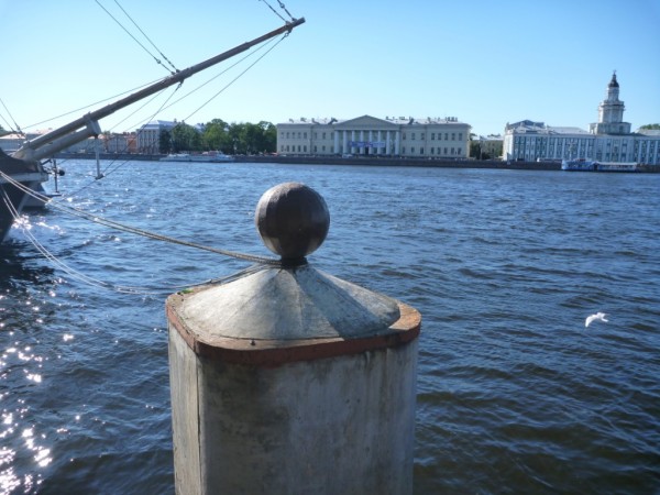 11.JPG