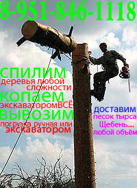 derevo02 копия.jpg