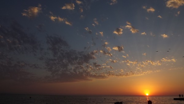 DSCF0346.JPG