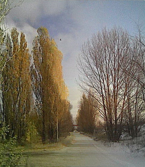 Лето-Зима.JPG