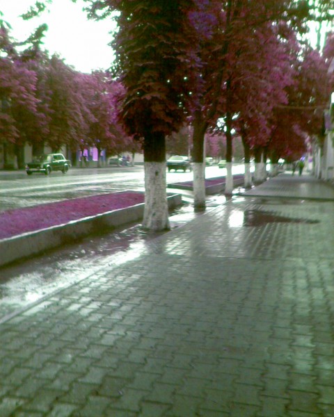 0.Fоmk@030.jpg