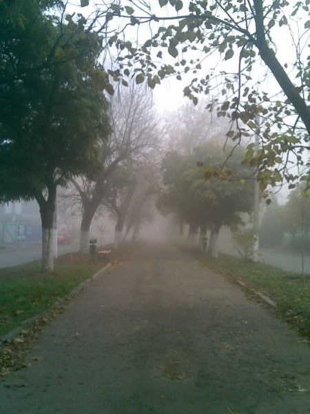 02112008(007).jpg