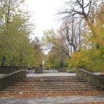 Аллея Александровского парка