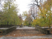 Аллея Александровского парка