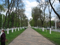 Вид на собор с проспекта Ермака