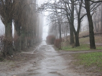 Вверх по проспекту Ермака, к собору