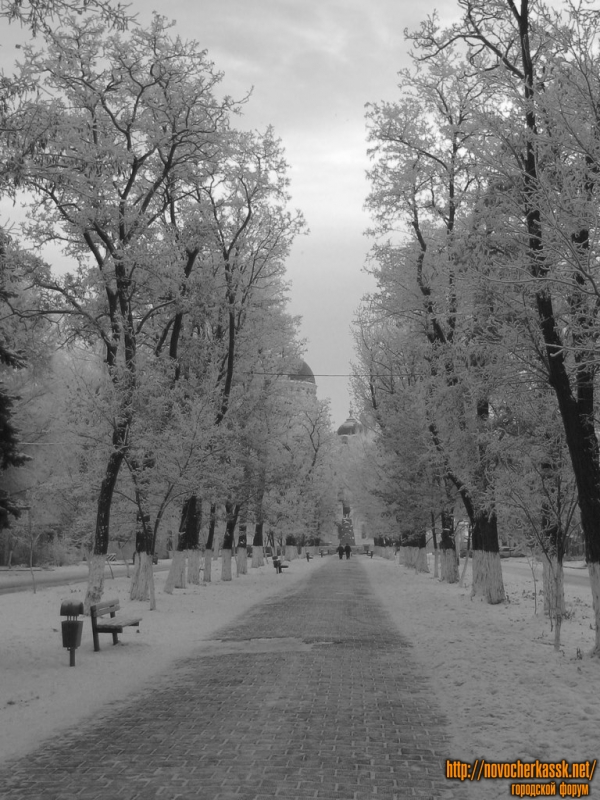 Новочеркасск: Аллея проспекта Ермака