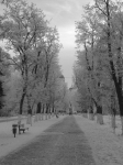 Аллея проспекта Ермака