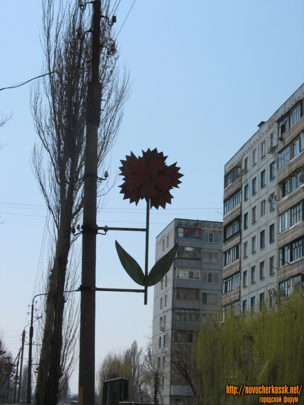 Новочеркасск: Клещева