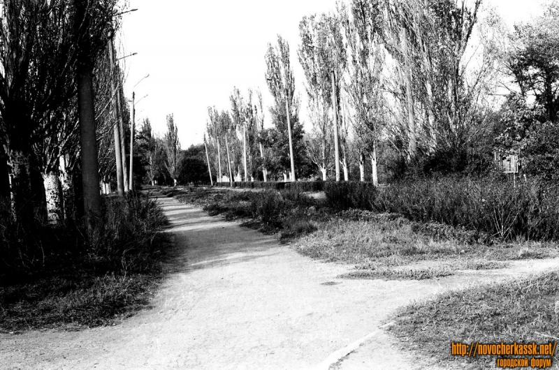 Новочеркасск: Донской. Центральная аллея парка, к каналу ГРЭС. 1991 год