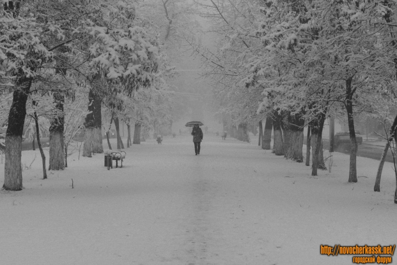 Новочеркасск: Аллея на пр. Ермака