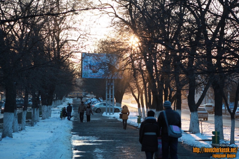 Новочеркасск: Аллея на проспекте Баклановском