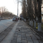 Баклановский проспект вдоль дома номер 64