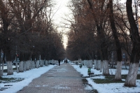 Аллея на проспекте Ермака