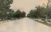 Аллея в городском парке