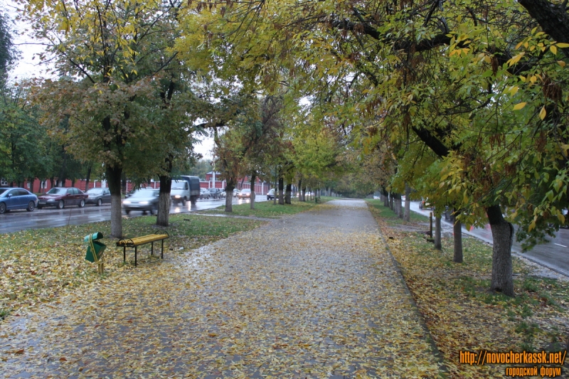 Новочеркасск: Осенняя аллея на Баклановском