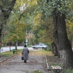 Аллея на Дубовского