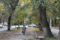 Аллея на Дубовского