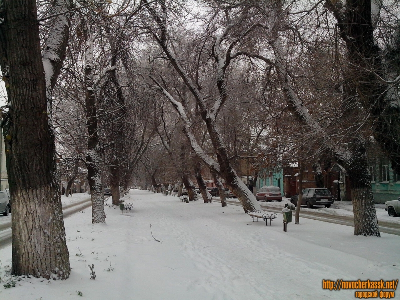 Новочеркасск: Аллея на Комитетской