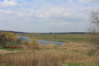 Пойма реки Тузлов